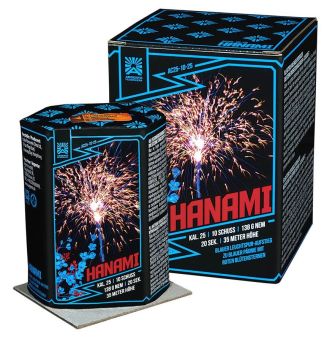 Argento Feuerwerk Silvester Batterie "Hanami" 10 Schuss